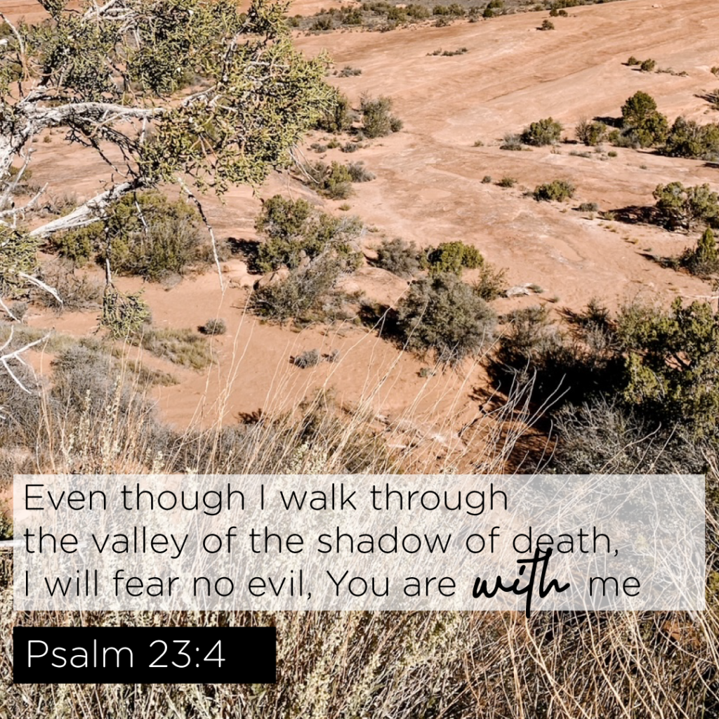 Psalm 23