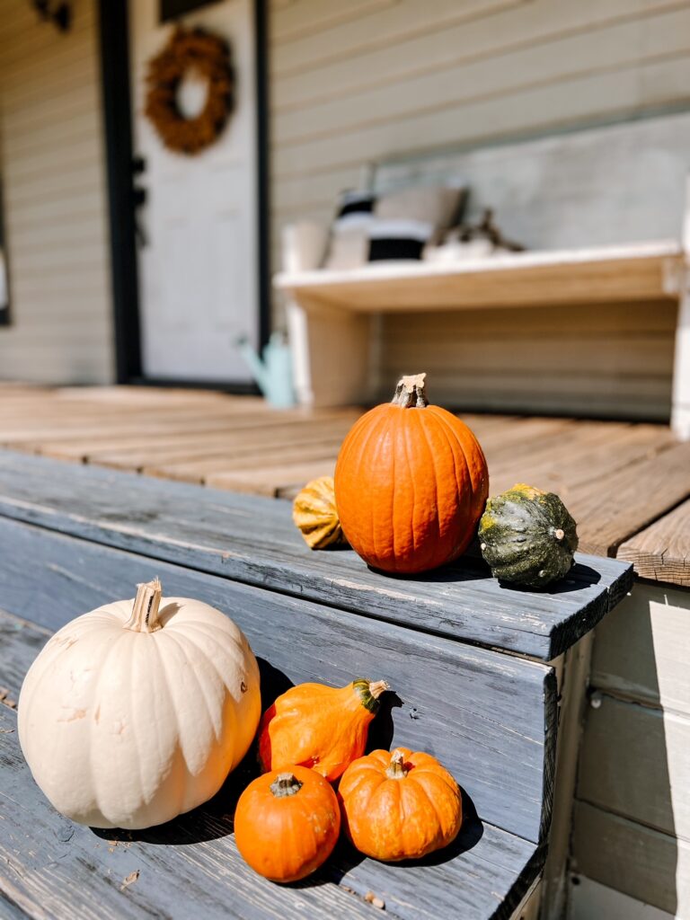 Fall pumpkins