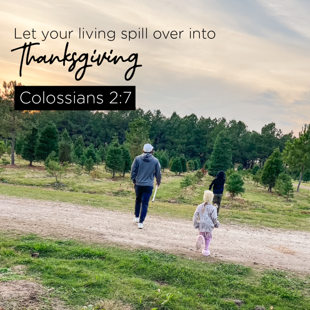 Colossians 2:7