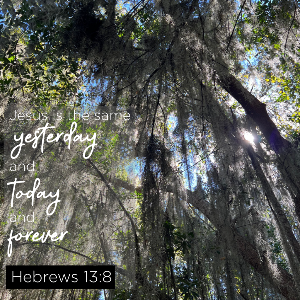 Hebrews 13:8